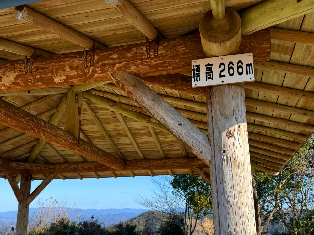 陣岳 国際の森公園②